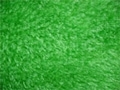 Kunstrasen/Grasstoff