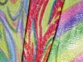 Jersey Elastic Hologramm