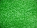 Kunstrasen/Grasstoff